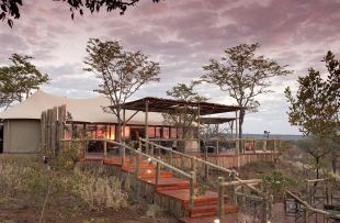 Elephant Camp - main lodge (WETU)