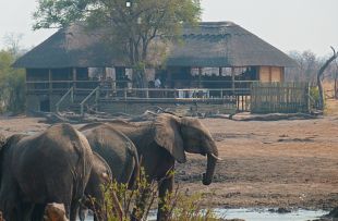 Nehimba Lodge (FAM)